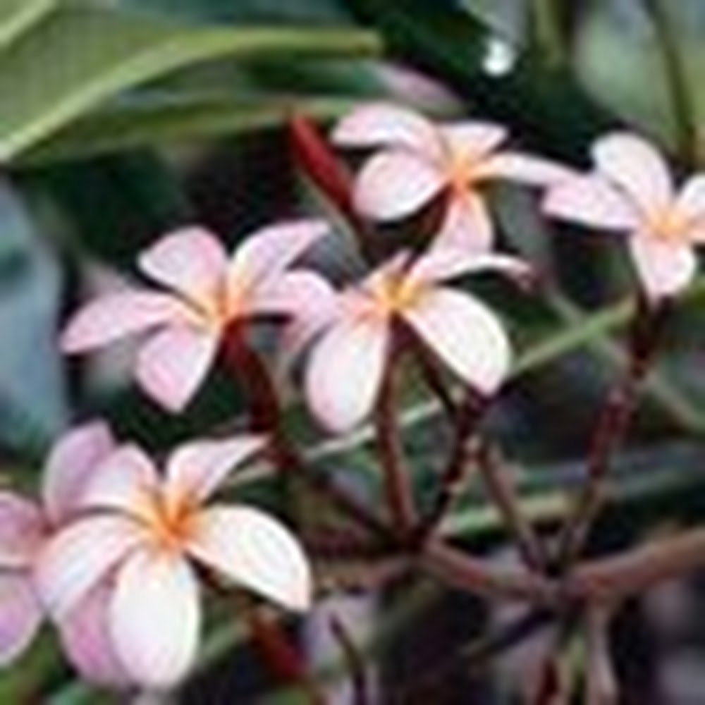 Meet your Posher, Jonna